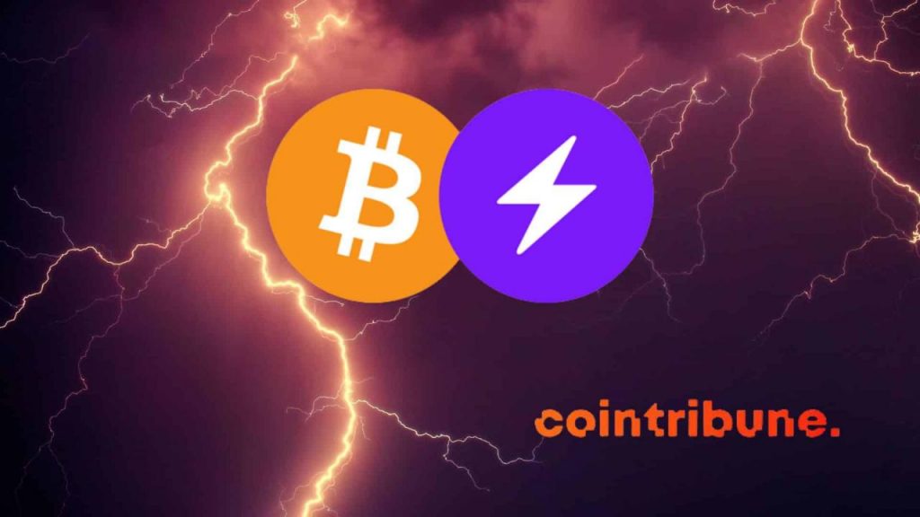 How should I select a Bitcoin Lightning (BTC) wallet?